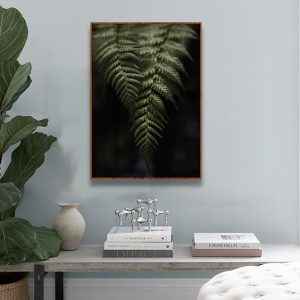 Quadro - Leonardo Krug - Samambaia 01