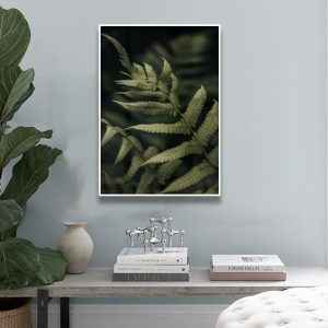 Quadro - Leonardo Krug - Samambaia 02