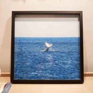 Quadro - Victor Barbosa - Baleia