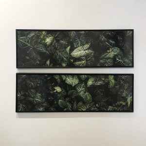 Dupla de Quadros - Textura Folhas
