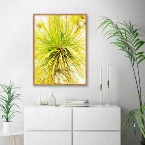 Quadro - Alexandre Salve - De Pinheiro 2