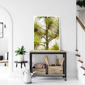 Quadro - Alexandre Salve - Pinheiro No Belvedere