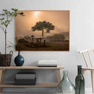Quadro - Alexandry Mazoni - Amanhecer Com Neblina E Geada