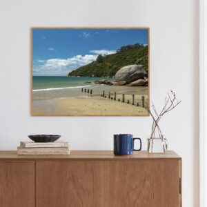 Quadro - Alexandry Mazoni - Bombinhas Santa Catarina Brazil