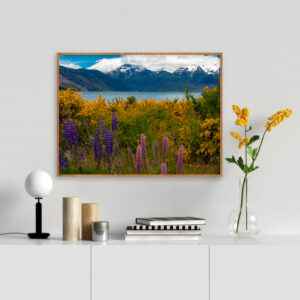 Quadro - Alexandry Mazoni - Colores Patagonicas