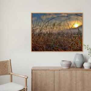 Quadro - Alexandry Mazoni - Dew On Spider Web