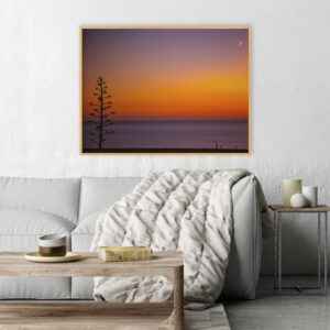 Quadro - Alexandry Mazoni - El Amanecer Marplatense Y La Luna