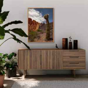 Quadro - Alexandry Mazoni - El Cactus