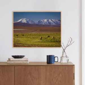 Quadro - Alexandry Mazoni - El Verde Del Desierto