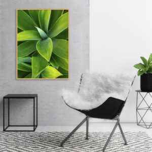Quadro - Alexandry Mazoni - Folhagens