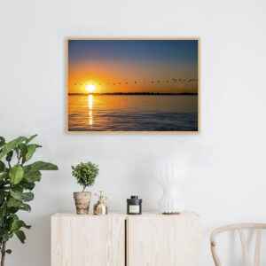 Quadro - Alexandry Mazoni - Linhas Naturais