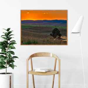 Quadro - Alexandry Mazoni - Nos Rincões do Rio Grande
