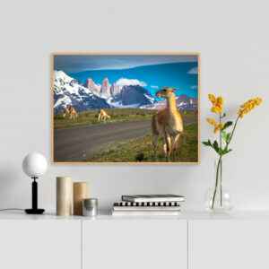 Quadro - Alexandry Mazoni - Os Guanacos E As Torres