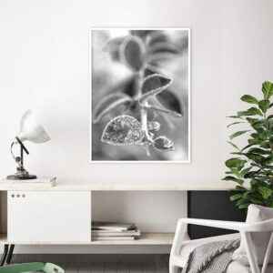 Quadro - Alexandry Mazoni - Ramos PB