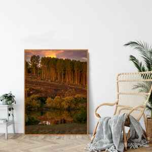 Quadro - Alexandry Mazoni - Rio Tainhas