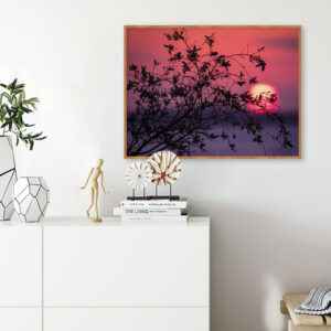 Quadro - Alexandry Mazoni - Sunset In Porto Alegre