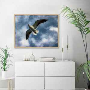 Quadro - Alexandry Mazoni - The Flight Of The Seagull