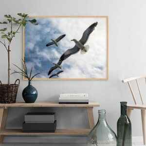 Quadro - Alexandry Mazoni - The Flight Of The Seagulls