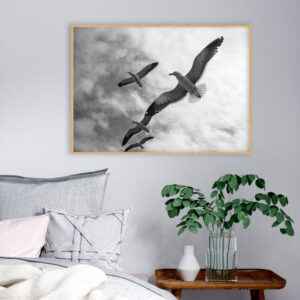 Quadro - Alexandry Mazoni - The Flight Of The Seagulls PB