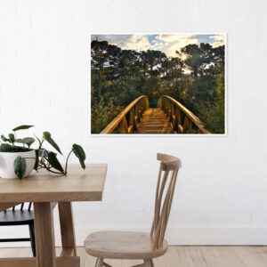 Quadro - Alexandry Mazoni - Way To Passo Da Ilha