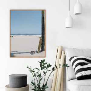 Quadro - Alex Oly - Domingo De Sol