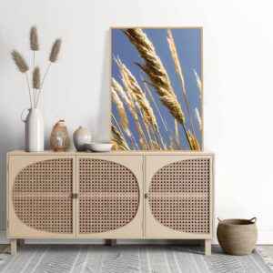 Rafael Campezato – Blue Days 4