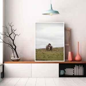 Rafael Campezato – Farm 2