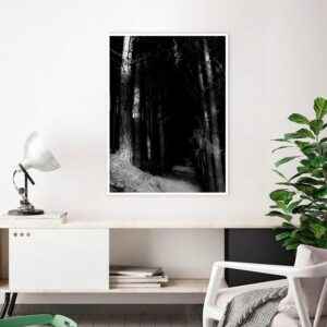 Rafael Campezato – Forest