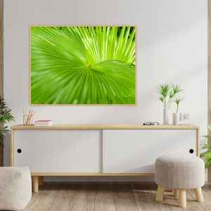 Quadro - Alexandre Salve - Serenoa A