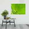 Quadro - Alexandre Salve - Serenoa B - Image 3