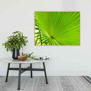 Quadro - Alexandre Salve - Serenoa B