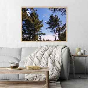 Quadro - Christoph Burgard - Under A Southern Sky