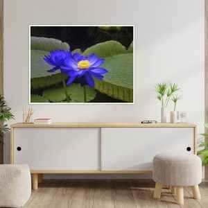 Filippo Albini – The Colours Of Kew Gardens 1