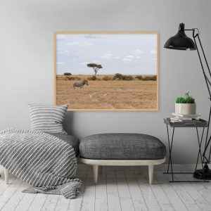 Quadro - João Paulo Oliveira - Crossroad
