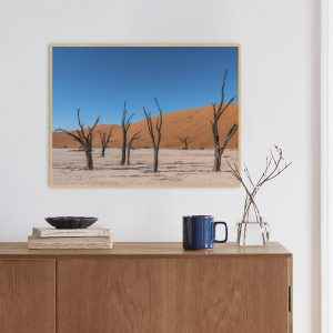 Quadro - João Paulo Oliveira - Dead Vlei