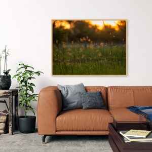Quadro - João Paulo Oliveira - Violent Sunset