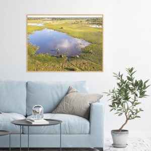 Quadro - João Paulo Oliveira - Waters From The Okavango