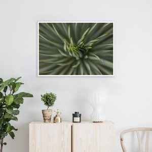 Quadro - Leonardo Krug - Agave