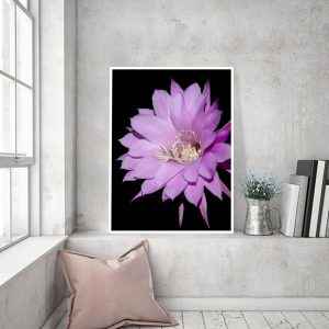 Quadro - Leonardo Krug - Flor 01