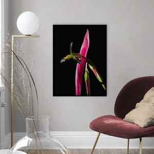 Quadro - Leonardo Krug - Flor 02