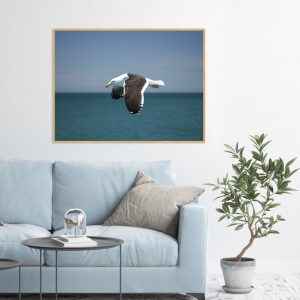 Quadro - Leonardo Krug - Gaivota