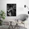Quadro - Leonardo krug - Suculenta PB - Imagem 4