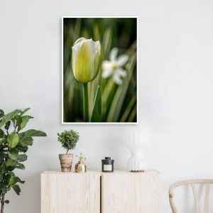 Quadro - Lise Rodembusch - Tulipa Branca