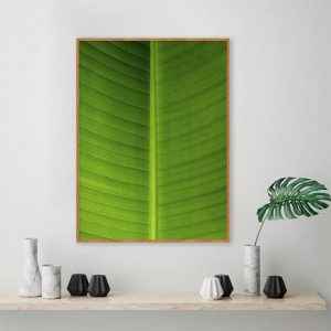 Luiz Bastos – Green Light