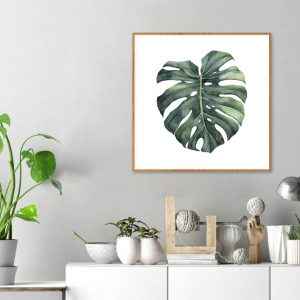 Quadro - Luli Reis - Folha Monstera