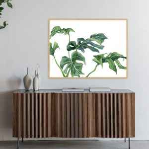Quadro - Luli Reis - Folhas Monstera