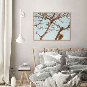 Quadro - Lu Oliari - A Casa