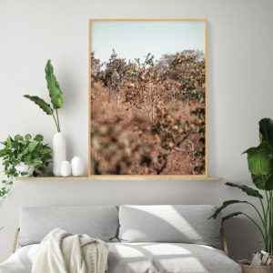Quadro - Lu Oliari - Cerrado