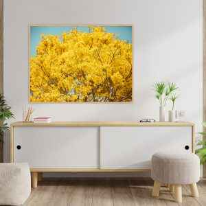 Quadro - Lu Oliari - Ramalhete Natural