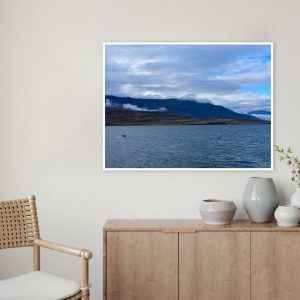 Nicole Herrmann – A Baleia